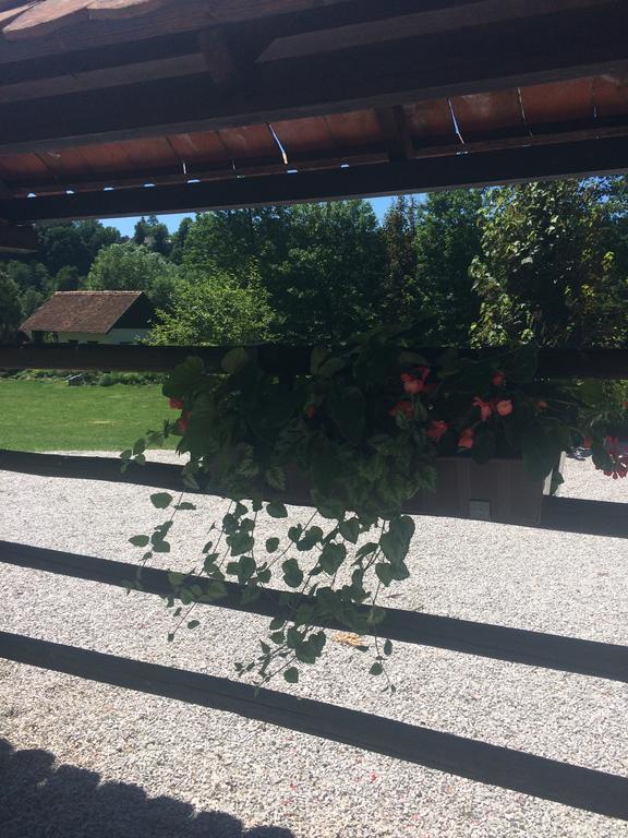 Hotel Gostisce Smuk Križe Esterno foto